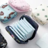 S156c654b940744c7a04cb2c596078035x.webp The Wanderer's PrivateCare Pouch