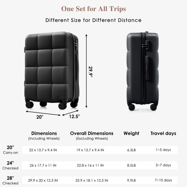Voyager 4-Piece Luggage Set